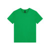 Gildan Softstyle Tees 13